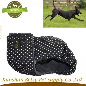 Magas minőségű női kutya szezon nadrágok