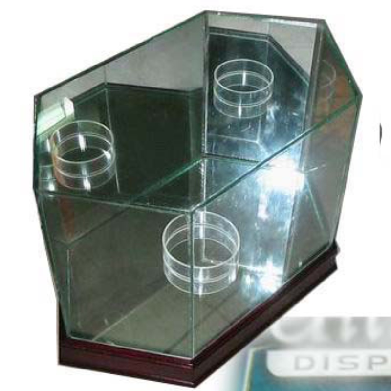 Octagon Football Glass Display tok