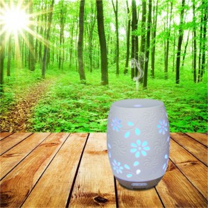 Sok érdeklődés népszerű egyedi kerámia aromaolaj diffúzor párásító