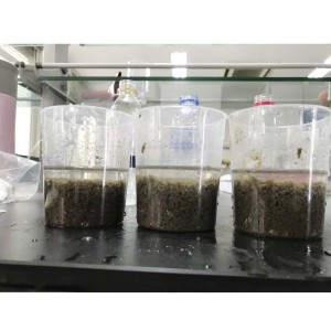 Kationos poliakrilamid ár a városi szennyvízkezeléshez