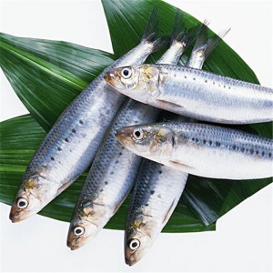 Fagyasztott szardínia