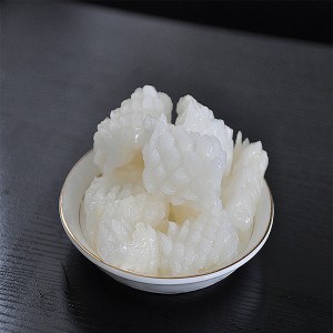 Fagyasztott tintahal virág