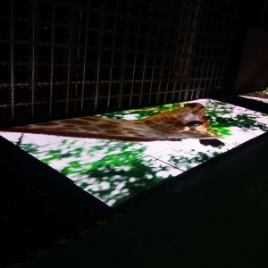 P8.928 kültéri táncpadló színpad LED képernyő / LED videó fal