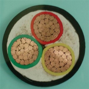 0,6 / 1kv 3 X 6mm2 LV tápkábel Pvc szigetelt Cu szilárd / sodrott vezető