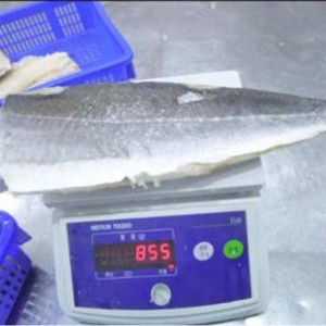 Fagyasztott, könnyű, sózott Atlanti-óceán-foltok filéje