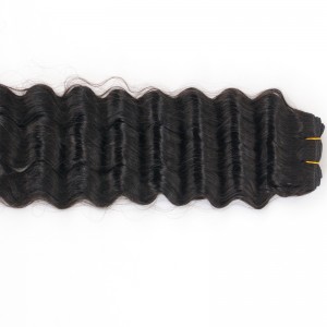 Haj vetülék - korona01