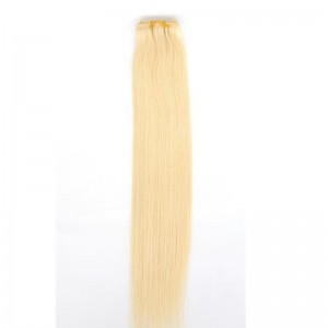 Haj vetülék - CROWN12