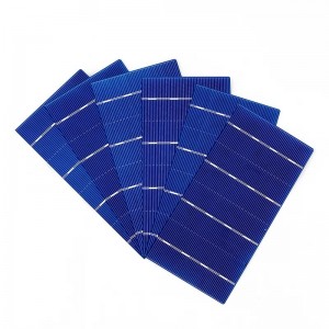 Polikristályos sejt