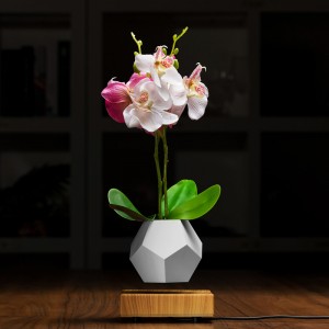 mágneses lebegés úszó növényi edény levegő bonsai PA-0708