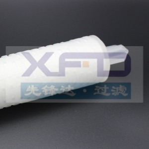 Ráncos szűrőpatron --- RFG