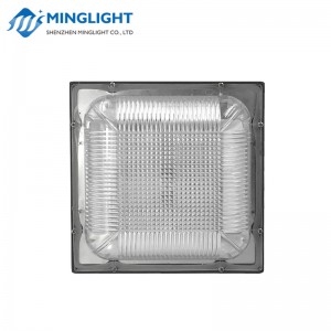LED baldachinos világítás CNPA 100W