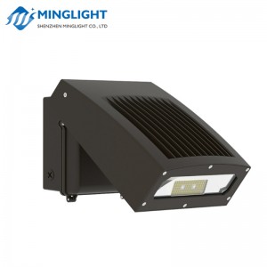 LED falikar WPD 60W