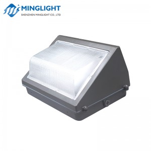 LED falikar WPB 60W