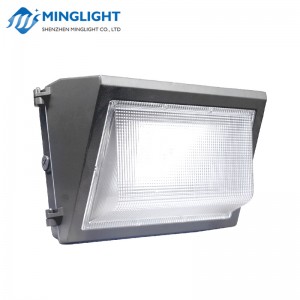 LED falikar WPB 60W