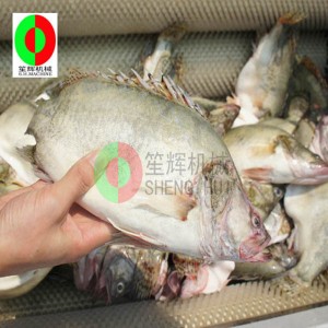 Dinnye gyümölcstisztító gép / dinnye gyümölcs tisztító hámozógép / dinnye gyümölcskefe tisztító hámozógép QX-612 új