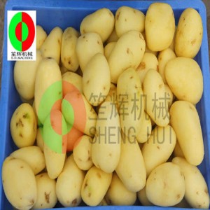 Dinnye gyümölcstisztító gép / dinnye gyümölcs tisztító hámozógép / dinnye gyümölcskefe tisztító hámozógép QX-612 új