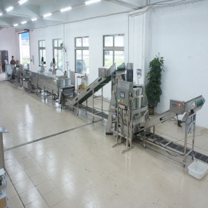 Nagy póréhagymát gyilkos gyártósor