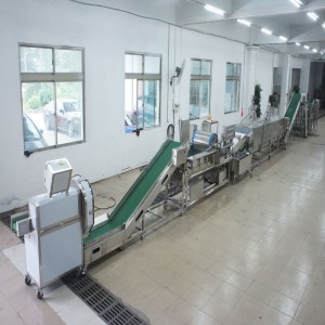 Nagy póréhagymát gyilkos gyártósor