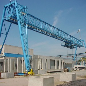 Rácsos daruk