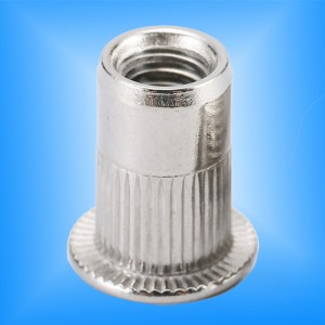 Lapos fej göndör test