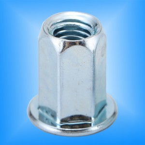 Lapos fejű, teljes Hex test