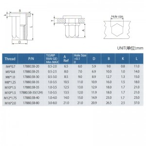 Lapos fejű, teljes Hex test