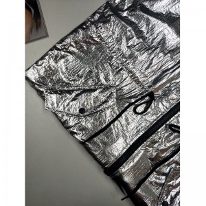 Hölgyek ezüst kapucnis kabátja RLWJ0018