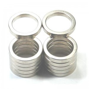 Testreszabhatja a monopólusos gyűrűmágneset.