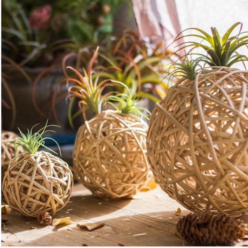 Kör díszítéssel fesztiválok fényeihez