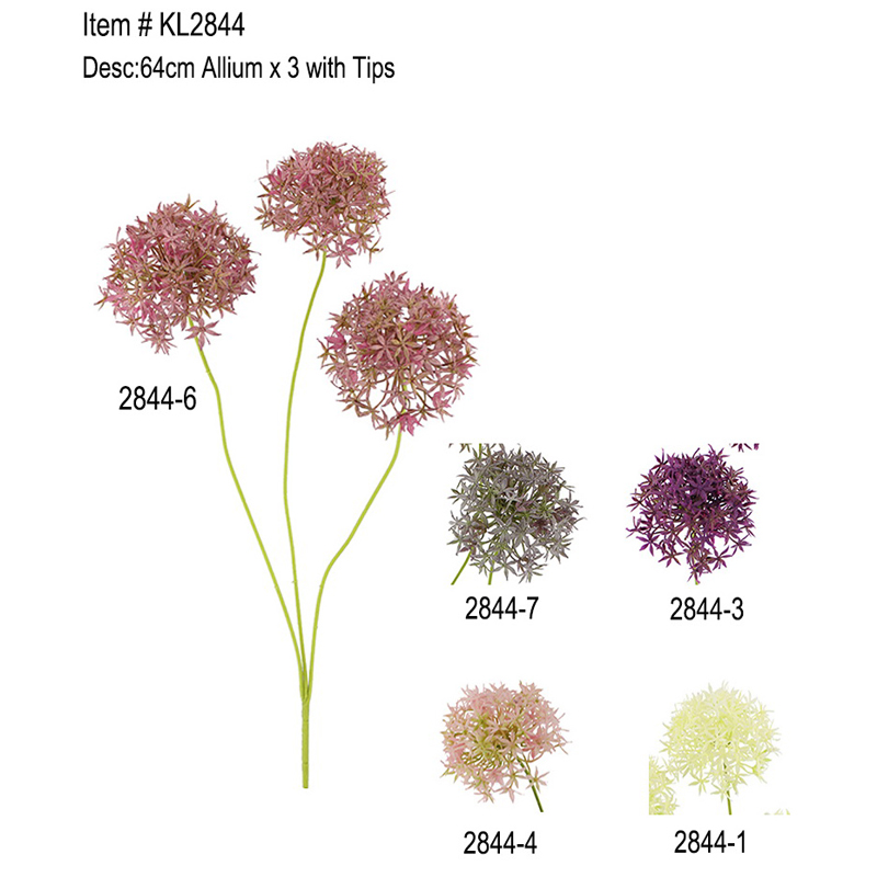 64cm Allium x 3 tippekkel