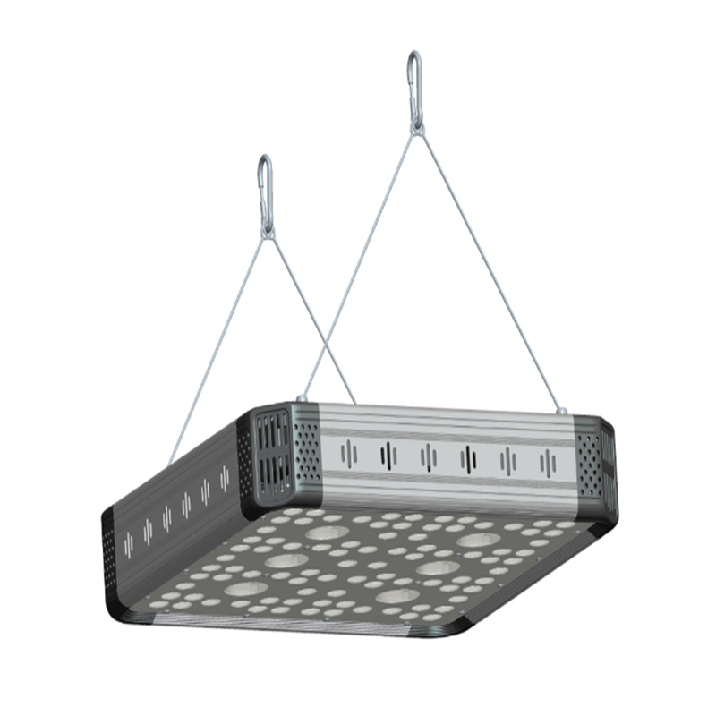 G1 Növekedési Fények