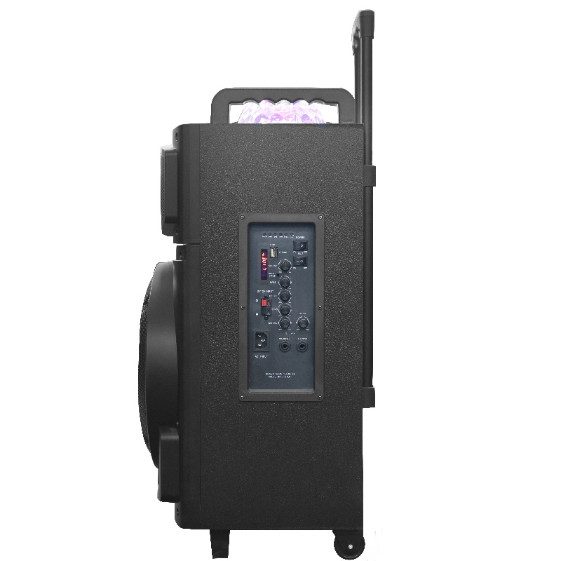 Troll hangszóró Y-K8-12M2H