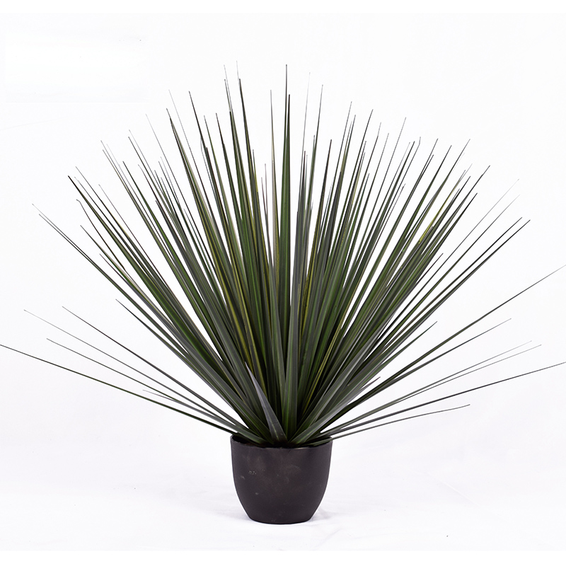 OH1092001/ OH1092002/ OH1092003