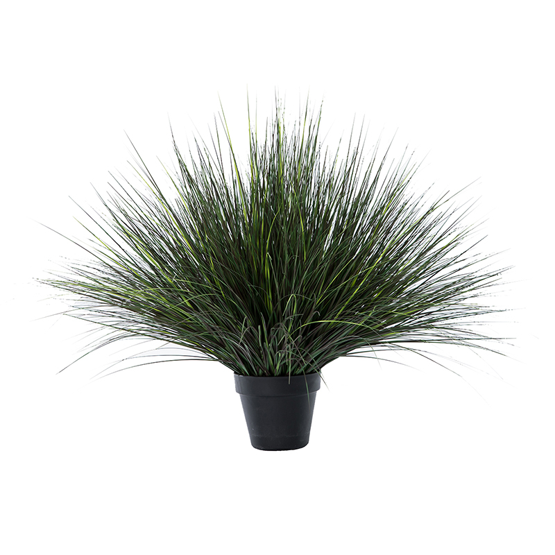 OH109200024/ OH109200025/ OH10920006