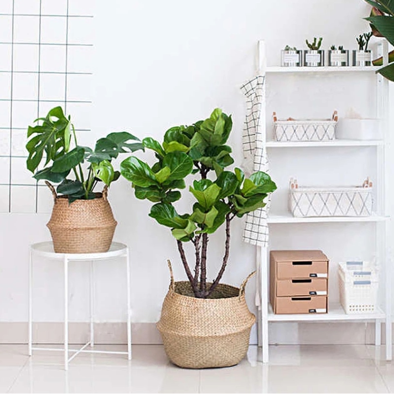 Növényállványból szőtt tengeri fű hasakosár függő tengeri fűkosár tárolására