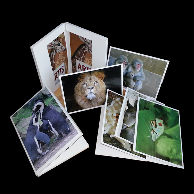 Üdvözlő kártya minden alkalomra, papírkártya, borítékkal.Emlékek az Utazóknak