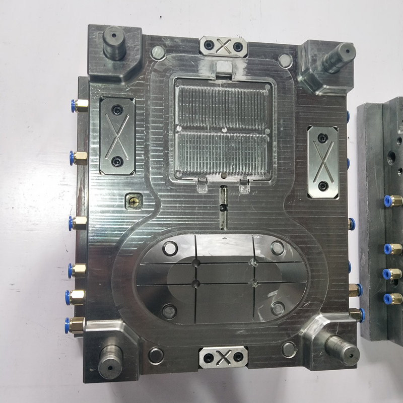 alap + hátborító penész