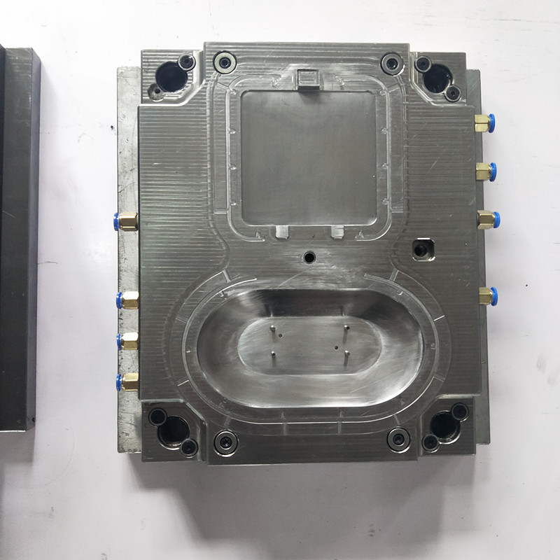 alap + hátborító penész