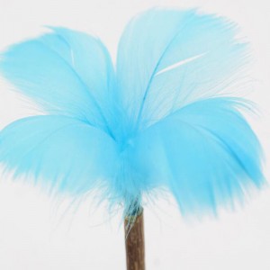 Macska menta pohárnyalóka