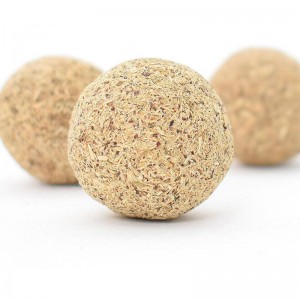 Poligonum cuspidatum