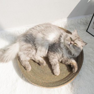 Cherry macska megragadja a tálat