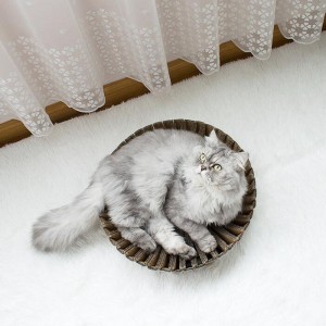 Napraforgó papír macska karcolás fészek