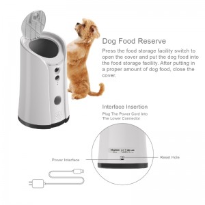 Kutya kamera kezelése adagoló