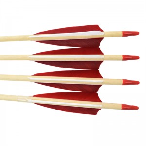 Elong Outdoor 110260-01 28inch Fanyíl Törökország Feather Íjászat a lövészet és vadászat