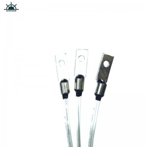 Kína gyári OEM testre B érték 4050K 10K ohm NTC termisztor hőmérséklet-érzékelő a 3Dnyomtatási gép