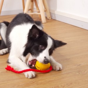 Gumi szivárgó snack kutya játék