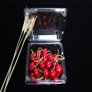 Kagylós élelmiszer csomagolás