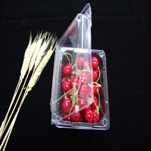 Kagylós élelmiszer csomagolás