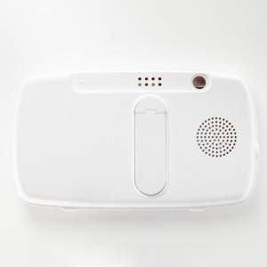 A 10-es típus fogadása