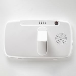 A 10-es típus fogadása